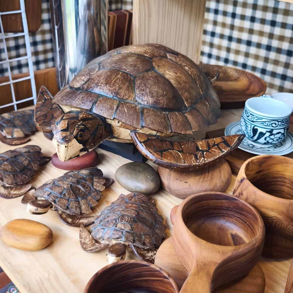 กาดบะป๊าว กาดมะพร้าว coconutmarket