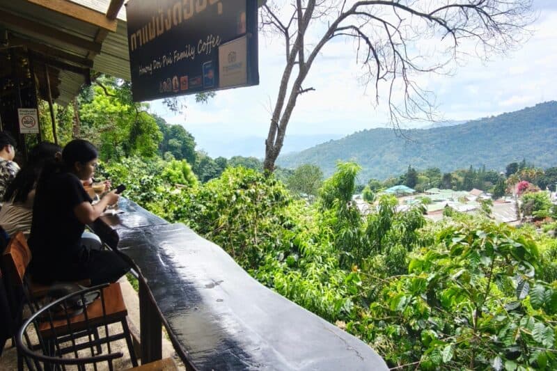 กาแฟม้งดอยปุย: คาเฟ่ที่ไม่ได้ขายแค่กาแฟ แต่เปิดบ้านให้รู้จักชาวม้ง!