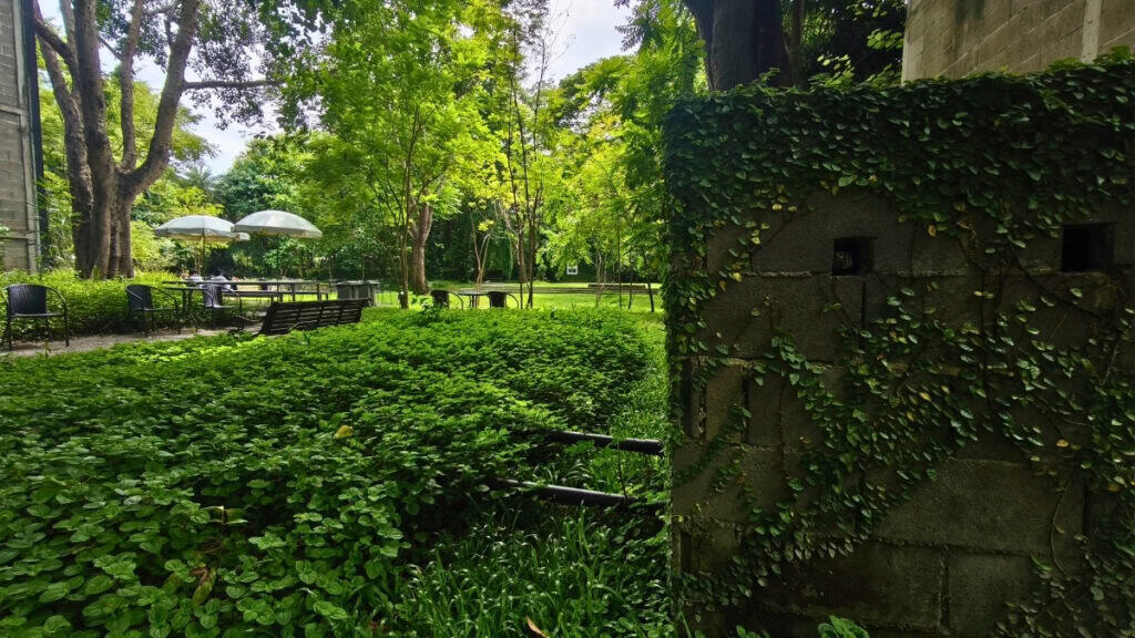 เก๊าไม้ล้านนา คาเฟ่โรงบ่ม สันป่าตอง เชียงใหม่