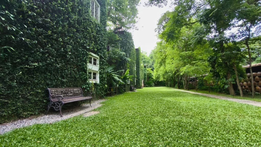 เก๊าไม้ล้านนา คาเฟ่โรงบ่ม สันป่าตอง เชียงใหม่