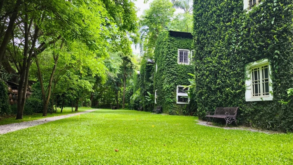 เก๊าไม้ล้านนา คาเฟ่โรงบ่ม สันป่าตอง เชียงใหม่