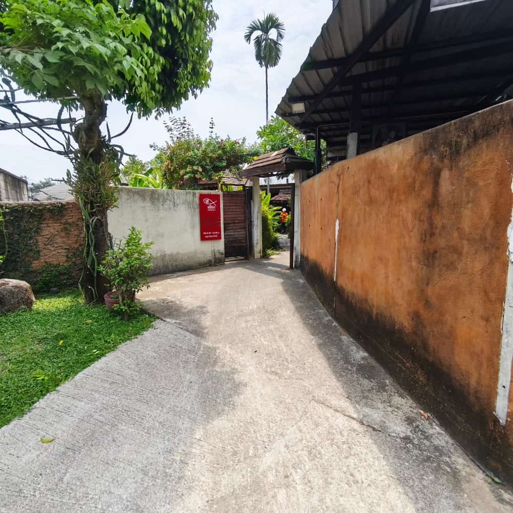 เซี๊ยะก๋วยเตี๋ยวปลา เชียงใหม่