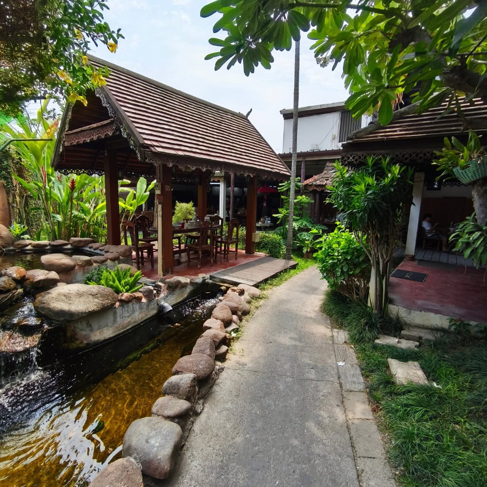 เซี๊ยะก๋วยเตี๋ยวปลา เชียงใหม่