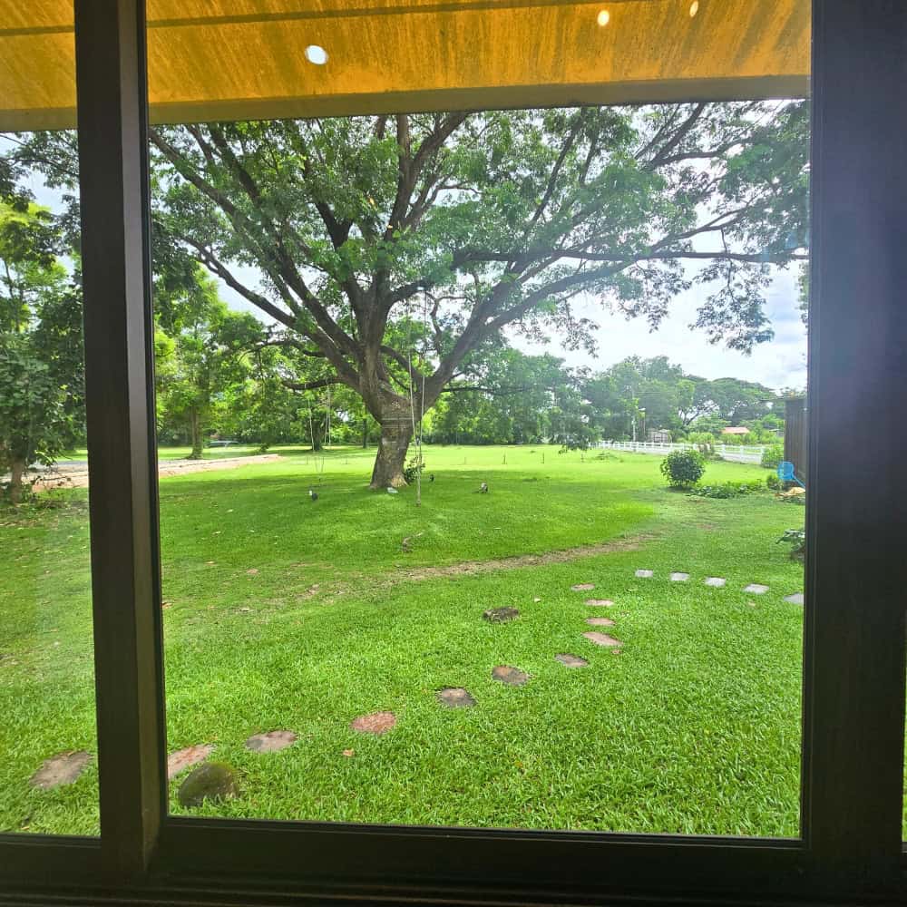 เซี๊ยะก๋วยเตี๋ยวปลา เชียงใหม่