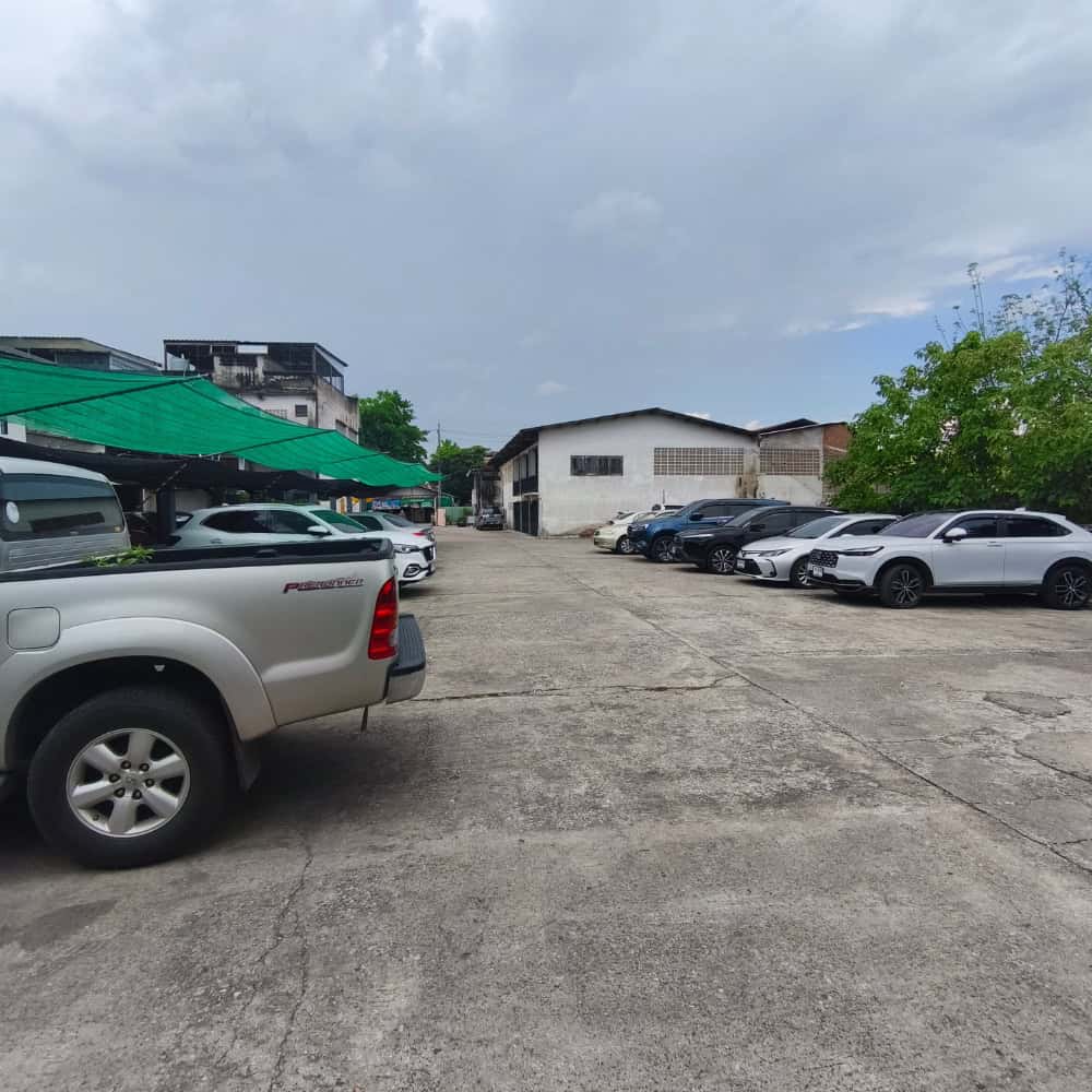 เซี๊ยะก๋วยเตี๋ยวปลา เชียงใหม่