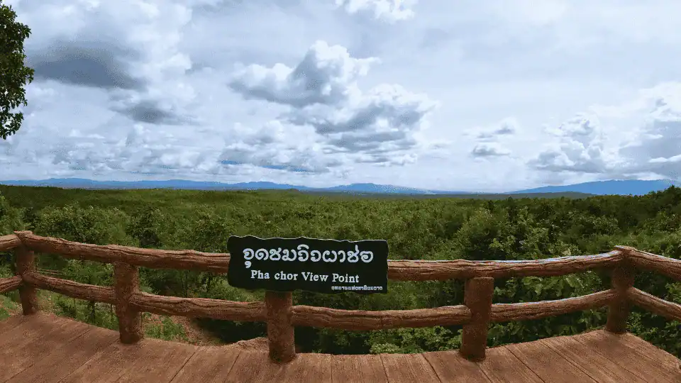 จุดชมวิวคาเฟ่ผาช่อ
