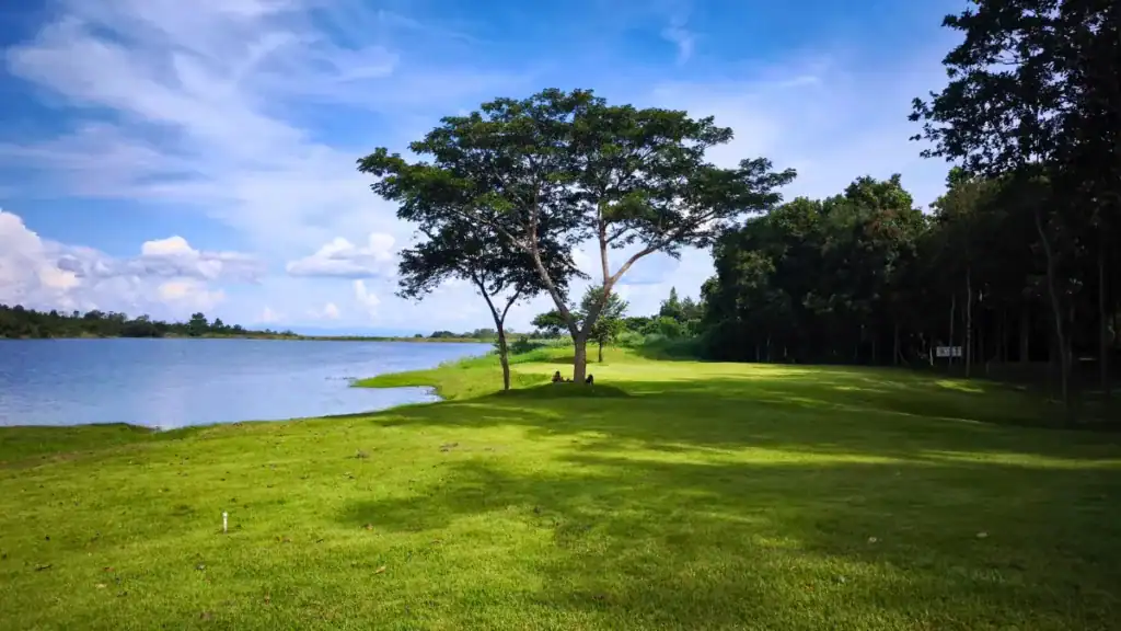 อุทยานแห่งชาติแม่วาง